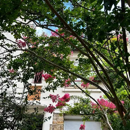 Apartment Belle F2 Centre Avec Jardin *