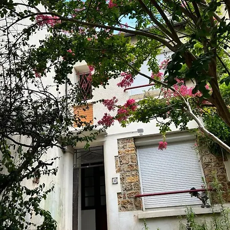 Belle F2 Centre Avec Jardin Massy (Essonne)